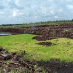 Dukung Ketahanan Pangan, Danramil Bersama Babinsa Bantu Warga Tanam Padi