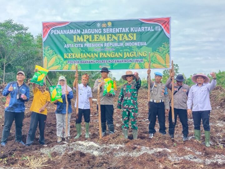 Dukung Ketahanan Pangan, Polsek Baamang Dengan Danramil 1015-04/Baamang Menanam Jagung