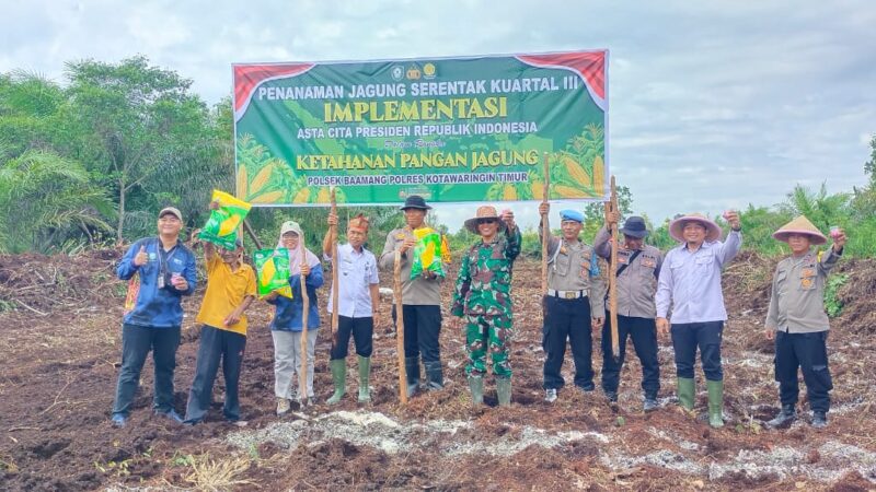 Dukung Ketahanan Pangan, Polsek Baamang Dengan Danramil 1015-04/Baamang Menanam Jagung
