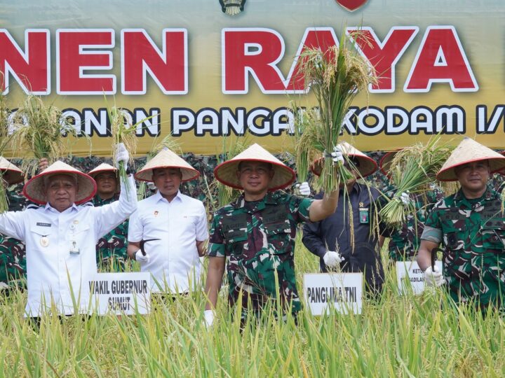 Panglima TNI Panen Raya Padi Seluas 80 Hektar, Dukung Program Ketahanan Pangan Nasional