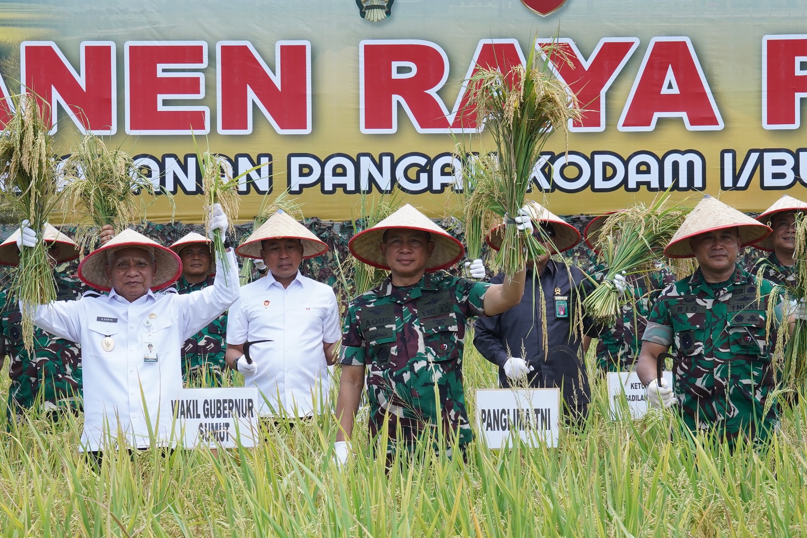 Panglima TNI Panen Raya Padi Seluas 80 Hektar, Dukung Program Ketahanan Pangan Nasional