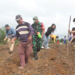 Wujudkan Ketahanan Pangan, Satgas TMMD Tanam Jagung
