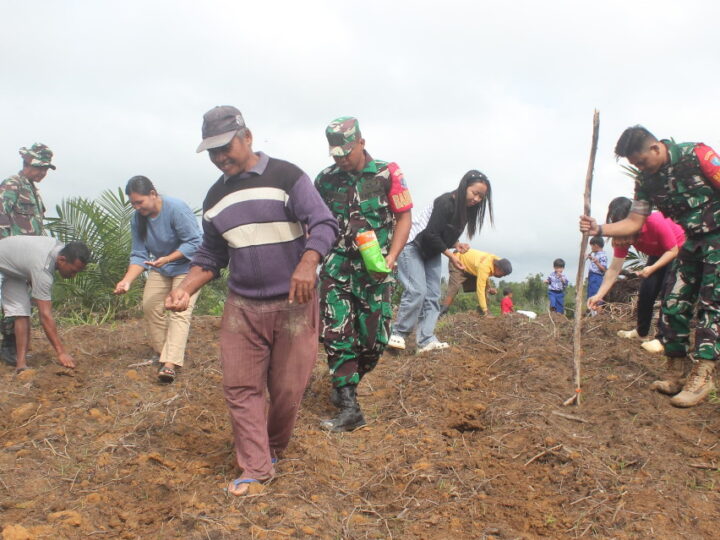Wujudkan Ketahanan Pangan, Satgas TMMD Tanam Jagung