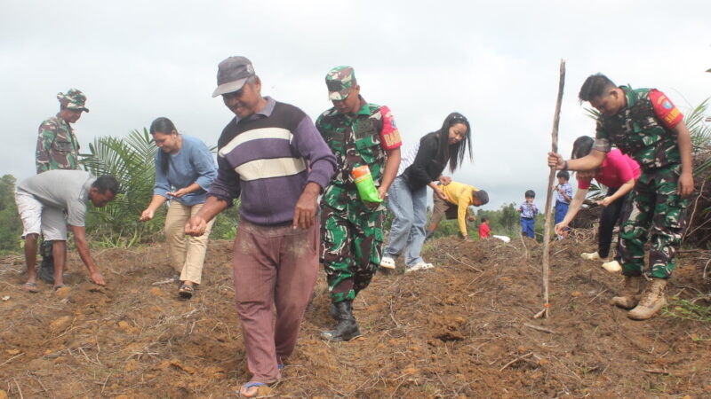 Wujudkan Ketahanan Pangan, Satgas TMMD Tanam Jagung