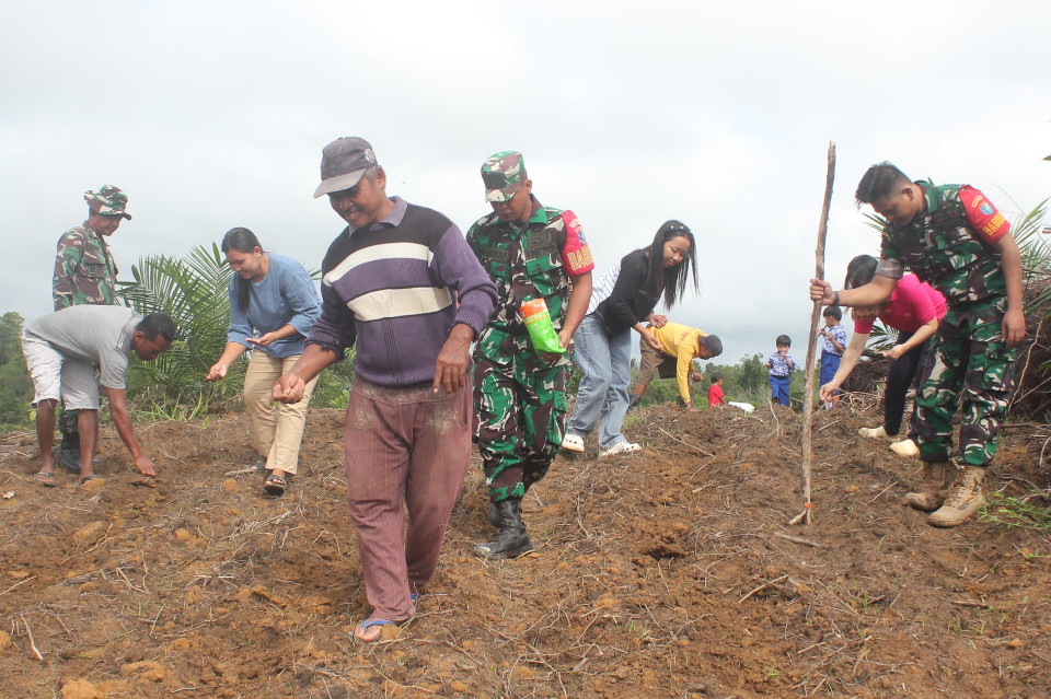 Wujudkan Ketahanan Pangan, Satgas TMMD Tanam Jagung