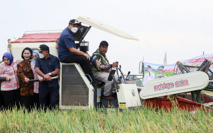 dr.H.Asri Ludin Tambunan Panen Raya Bersama Brigade Pangan “Deli Serdang Capai Swasembada Beras”