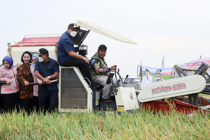 dr.H.Asri Ludin Tambunan Panen Raya Bersama Brigade Pangan “Deli Serdang Capai Swasembada Beras”