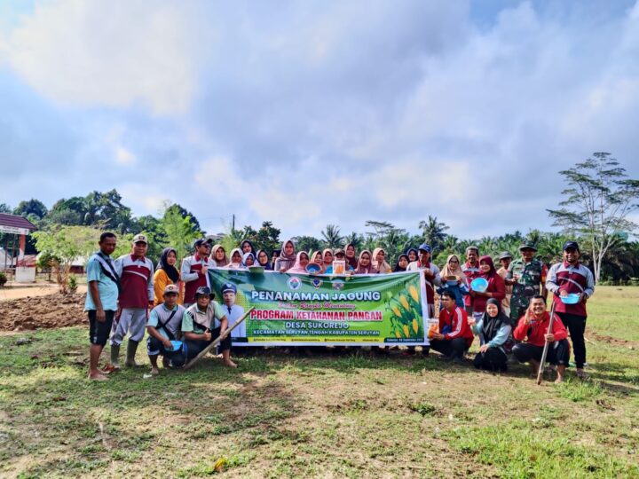 Dukung Swasembada Pangan, Babinsa Koramil 1015-12/Seruyan Tengah Bantu Tanam Jagung