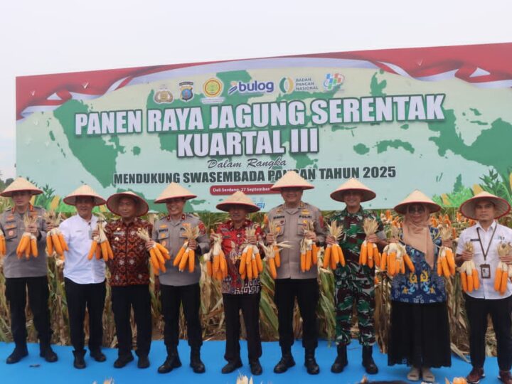 Dukung Ketahanan Pangan Nasional, Polresta Deli Serdang Gelar Panen Raya Jagung Kuartal III
