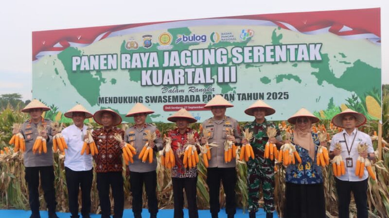 Dukung Ketahanan Pangan Nasional, Polresta Deli Serdang Gelar Panen Raya Jagung Kuartal III
