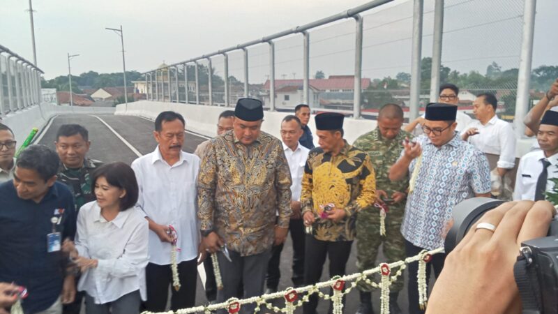 Bupati Bogor Resmikan Jembatan Play Over dan JPO di Stasiun Tenjo Bogor