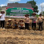 Babinsa Koramil 1015-07/Parenggean Hadiri Penanaman Jagung di Desa Sari Harapan