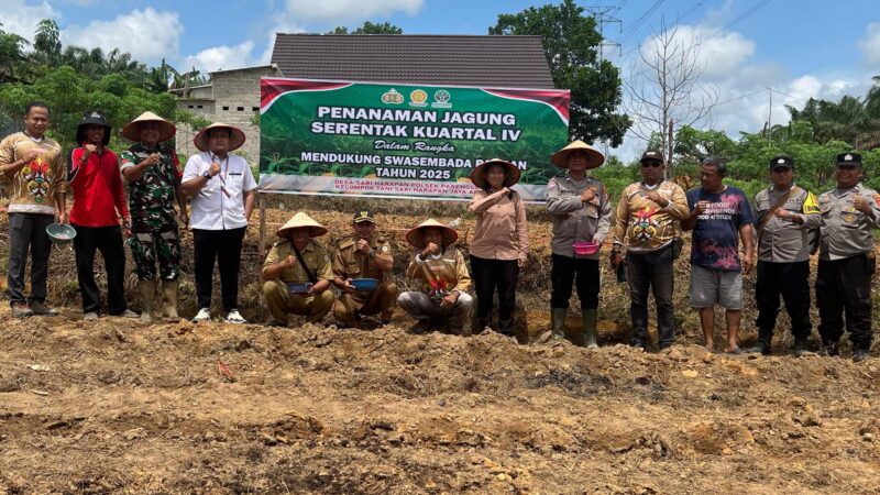 Babinsa Koramil 1015-07/Parenggean Hadiri Penanaman Jagung di Desa Sari Harapan
