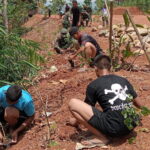 Satgas TMMD 126 Kodim 0801/Pacitan Tanam Pohon bersama Masyarakat, Komitmen Nyata Dalam Pelestarian Alam.