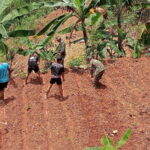 Perkuat Ketahanan Pangan Satgas TMMD 126 Desa Petungsinarang Menanam Sayur Bersama Warga