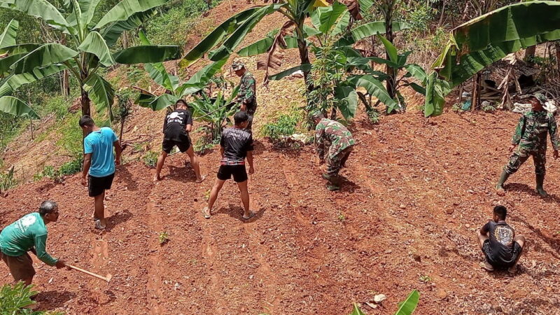 Perkuat Ketahanan Pangan Satgas TMMD 126 Desa Petungsinarang Menanam Sayur Bersama Warga
