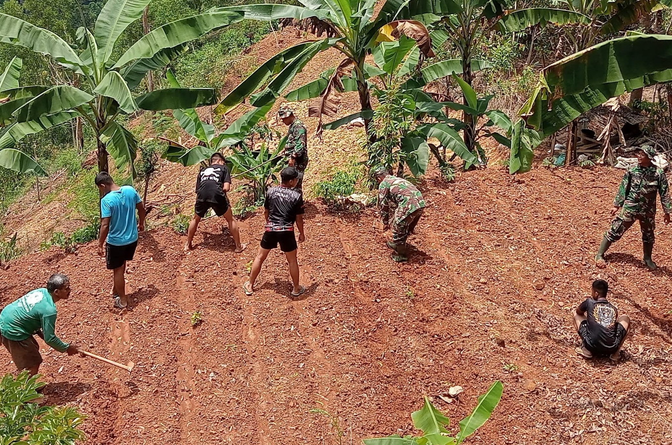 Perkuat Ketahanan Pangan Satgas TMMD 126 Desa Petungsinarang Menanam Sayur Bersama Warga