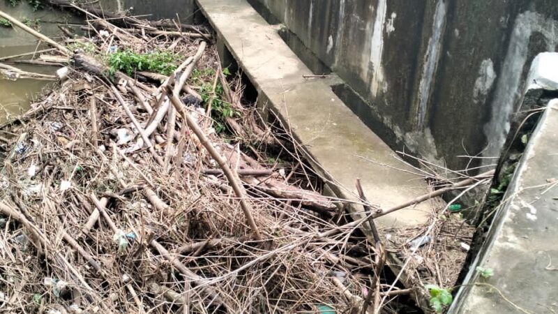 Saluran Irigasi di Desa Paseyan Sampang Buntu, Puluhan Hektare Sawah Terendam dan Akses Jalan Desa Terputus Akibat Banjir.