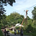 Pohon Tumbang Menimpa Kabel PLN Di Depan TPU Parigi Cilejet Batok Kabelnya Terputus