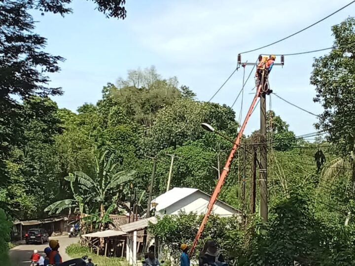 Pohon Tumbang Menimpa Kabel PLN Di Depan TPU Parigi Cilejet Batok Kabelnya Terputus