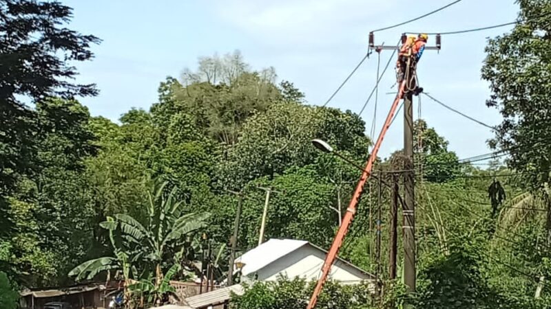 Pohon Tumbang Menimpa Kabel PLN Di Depan TPU Parigi Cilejet Batok Kabelnya Terputus