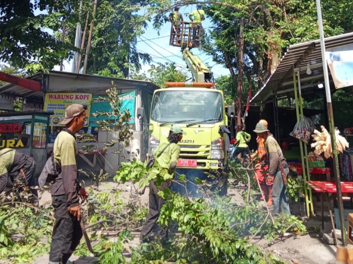 Langkah Cepat Sudin Tamhut Jakarta Timur, Pangkas Pohon Rawan Tumbang di Jalan Supryadi Susukan