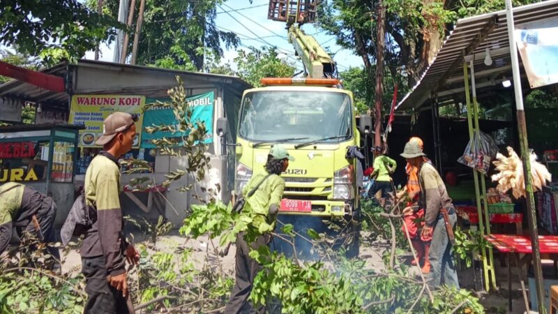Langkah Cepat Sudin Tamhut Jakarta Timur, Pangkas Pohon Rawan Tumbang di Jalan Supryadi Susukan