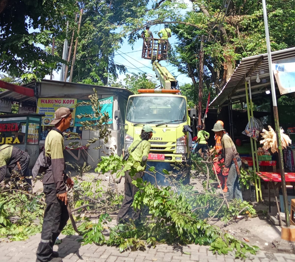 Langkah Cepat Sudin Tamhut Jakarta Timur, Pangkas Pohon Rawan Tumbang di Jalan Supryadi Susukan