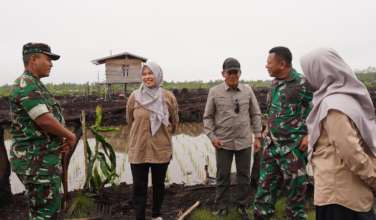 Dukung Program Swasembada Pangan, Komandan Kodim 1015/Sampit Dampingi Tim Pengawas Cetak Sawah Rakyat (CSR) Kementan RI.