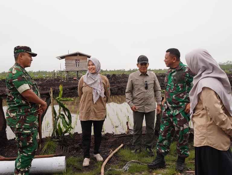 Dukung Program Swasembada Pangan, Komandan Kodim 1015/Sampit Dampingi Tim Pengawas Cetak Sawah Rakyat (CSR) Kementan RI.
