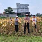 Polsek Panongan Pantau Perkembangan Ketahanan Pangan di Desa Ranca Iyuh