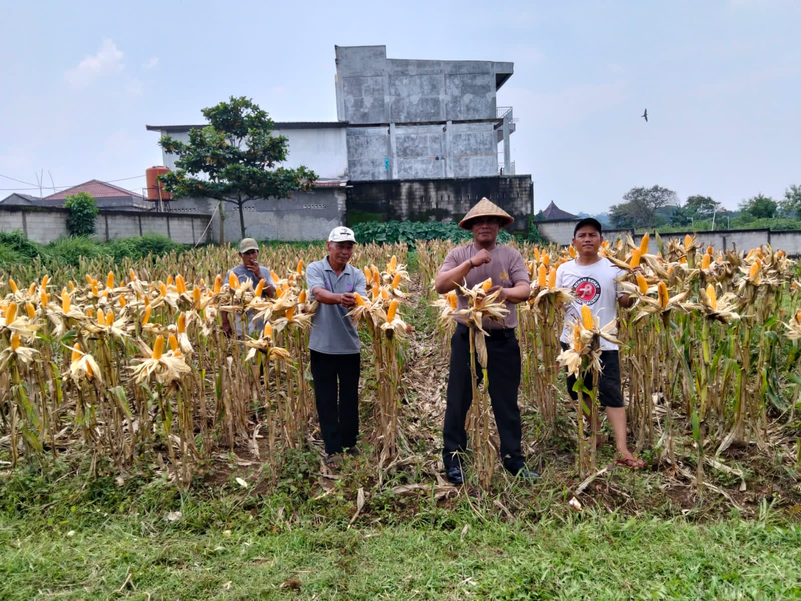 Polsek Panongan Pantau Perkembangan Ketahanan Pangan di Desa Ranca Iyuh