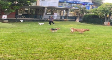 Pesona Hijau Como Park di Tengah Hiruk Pikuk Ibukota, Menjadi Destinasi Warga