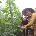 Wabup Deli Serdang Lom Lom Suwondo “Hasil Melimpah Petani Sejahtera”