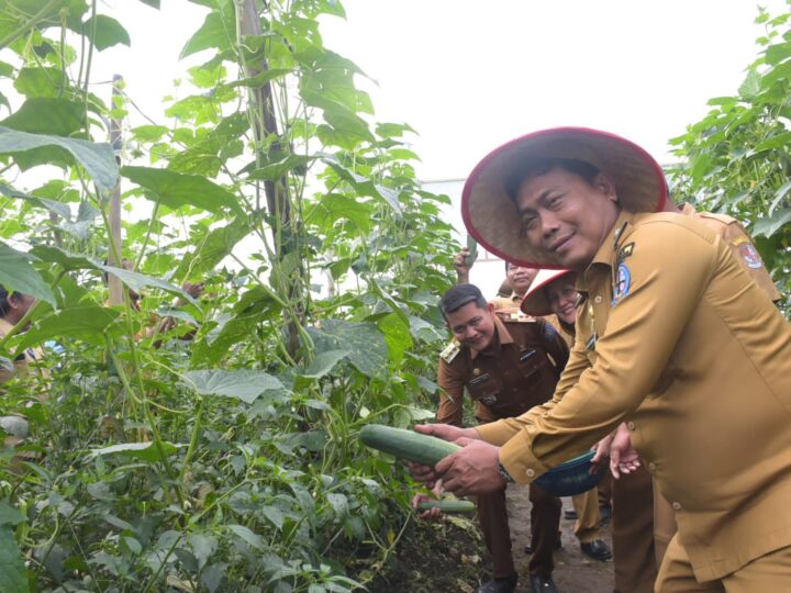 Wabup Deli Serdang Lom Lom Suwondo “Hasil Melimpah Petani Sejahtera”