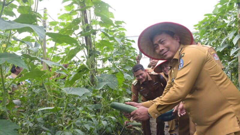Wabup Deli Serdang Lom Lom Suwondo “Hasil Melimpah Petani Sejahtera”