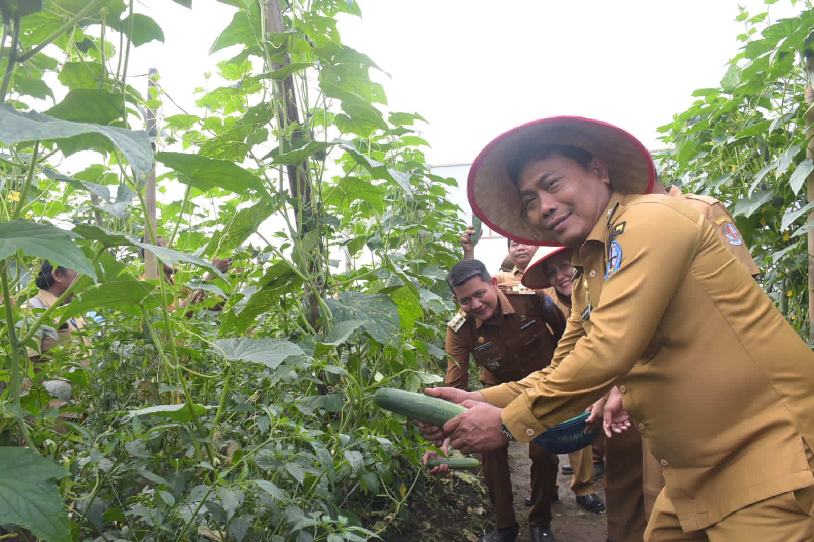Wabup Deli Serdang Lom Lom Suwondo “Hasil Melimpah Petani Sejahtera”