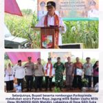 Bupati Lampung Utara Pantau Layanan Puskesmas Mider dan Panen Jagung BUMDES Gilih Mandiri Desa Gilih Sukanegeri