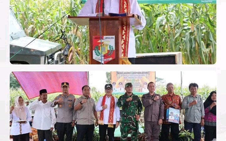 Bupati Lampung Utara Pantau Layanan Puskesmas Mider dan Panen Jagung BUMDES Gilih Mandiri Desa Gilih Sukanegeri