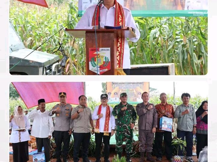 Bupati Lampung Utara Pantau Layanan Puskesmas Mider dan Panen Jagung BUMDES Gilih Mandiri Desa Gilih Sukanegeri
