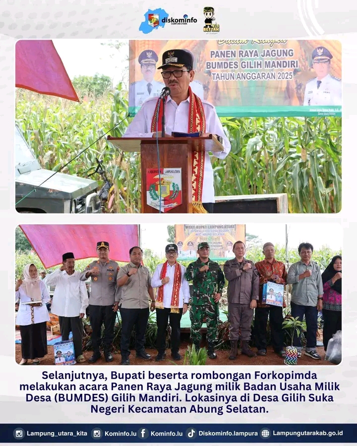 Bupati Lampung Utara Pantau Layanan Puskesmas Mider dan Panen Jagung BUMDES Gilih Mandiri Desa Gilih Sukanegeri