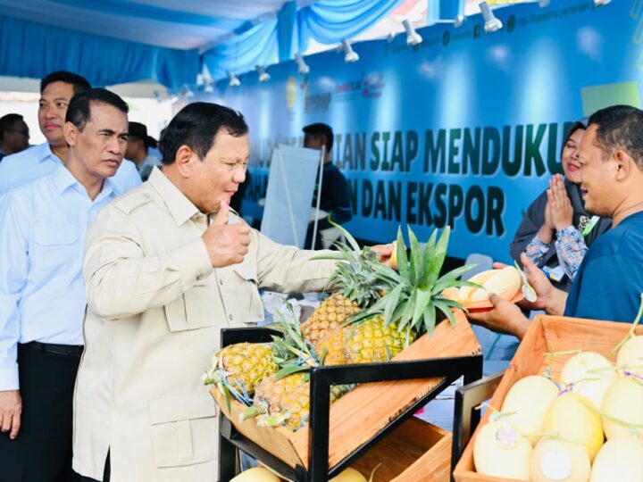 Kasad Hadiri Panen Raya di Cilebar Karawang, Presiden RI Umumkan Swasembada Pangan Nasional