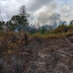 Diduga Sengaja Dibakar, Karhutla di Desa Gunung Muda Kecamatan Belinyu Terbakar