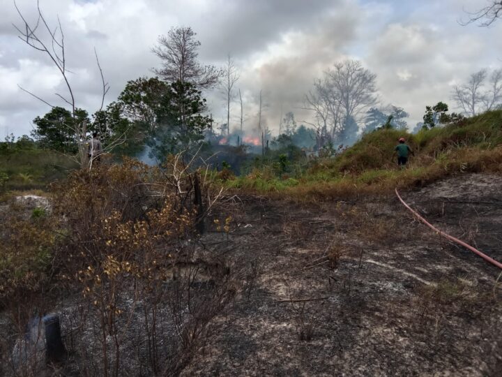 Diduga Sengaja Dibakar, Karhutla di Desa Gunung Muda Kecamatan Belinyu Terbakar