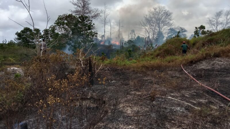 Diduga Sengaja Dibakar, Karhutla di Desa Gunung Muda Kecamatan Belinyu Terbakar