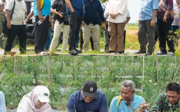 dr.H.Asri Ludin Tambunan ”Genjot Program Unggulan Ketahanan Pangan” Deli Serdang Raih Prestasi Inflasi Terendah Per Januari 2026