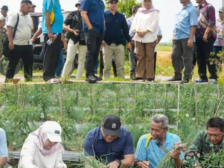 dr.H.Asri Ludin Tambunan ”Genjot Program Unggulan Ketahanan Pangan” Deli Serdang Raih Prestasi Inflasi Terendah Per Januari 2026