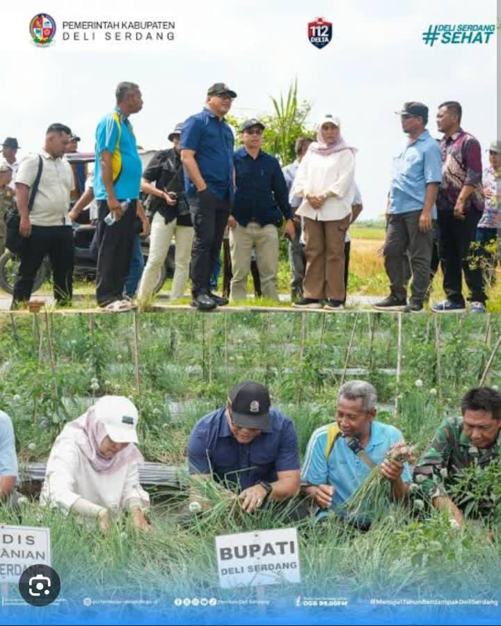 dr.H.Asri Ludin Tambunan ”Genjot Program Unggulan Ketahanan Pangan” Deli Serdang Raih Prestasi Inflasi Terendah Per Januari 2026