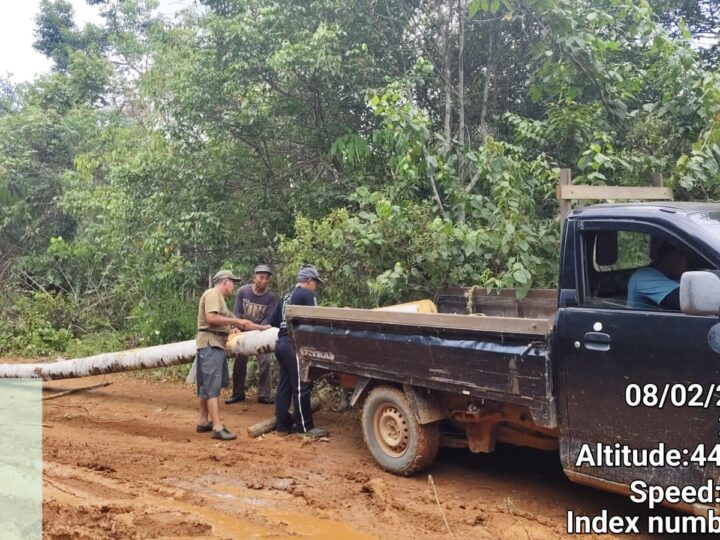 Kades Batuah Dan Beberapa Orang Warga Gotong Royong Perbaiki Jalan Provinsi Yang Rusak