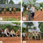 Polsek Tigaraksa Laksanakan Program Ketahanan Pangan Penanaman Jagung Hibrida 1 Desa 2 Hektar